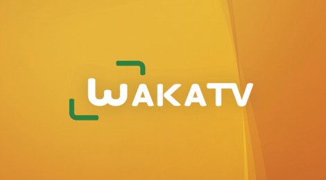 (Français) Waka TV, La chaîne de l’Afrique qui entreprend