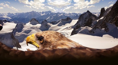 The eagle challenge